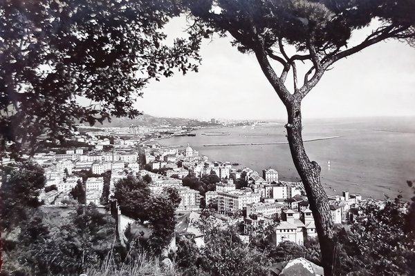 Cartolina - Ge-Pegli - Panorama - 1956