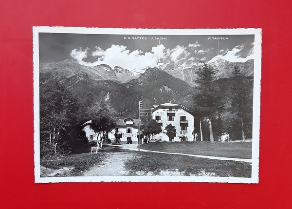 Cartolina Acidule Di Pejo m.1400 (Trentino) Albergo Alpino