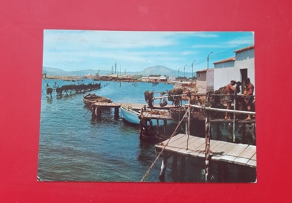 Cartolina Olbia Isola Bianca - Vivaio dei Mitili - 1972