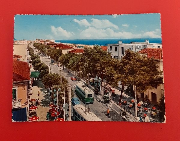 Cartolina Miramare di Rimini Viale Principe di Piemonte - 1970