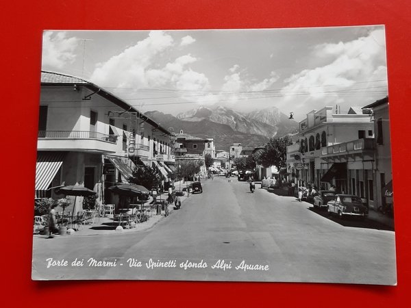 Cartolina Forte dei Marmi - Via Spinetti sfondo Alpi Apuane …