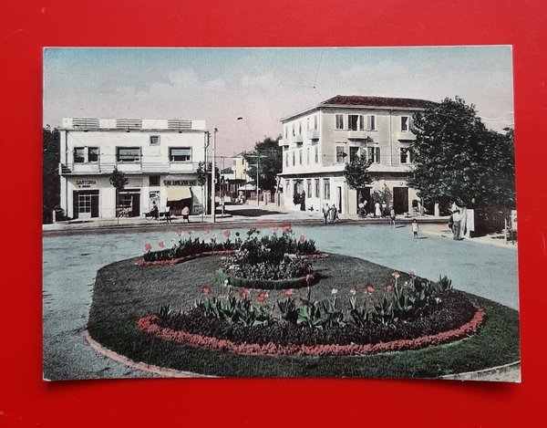 Cartolina Bellariva Lido Di Rimini Viale della Rimembranza - 1958