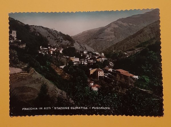 Cartolina Pracchia - Stazione Climatica - Panorama - 1955