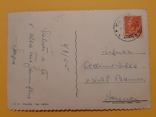 Cartolina Pracchia - Stazione Climatica - Panorama - 1955