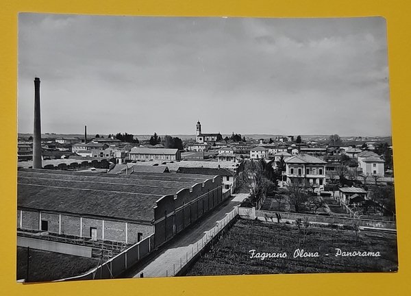 Cartolina Fagnano Olona - Panorama - 1922