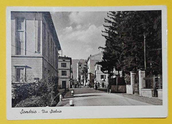 Cartolina Sondrio - Via Stelvio - 1916