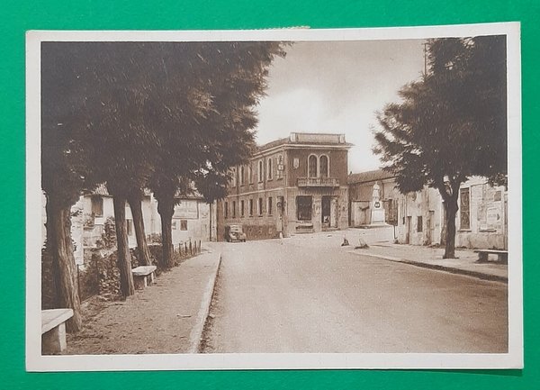 Cartolina Castelletto Monferrato - Municipio - 1951
