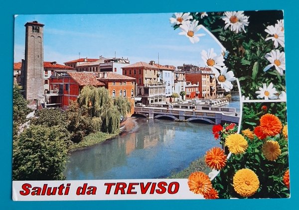 Cartolina Saluti da Treviso - Il Sile a Ponte S. …