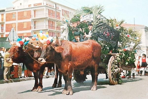 Cartolina La Cavalcata Sarda - Sassari - Costumi di Uri …