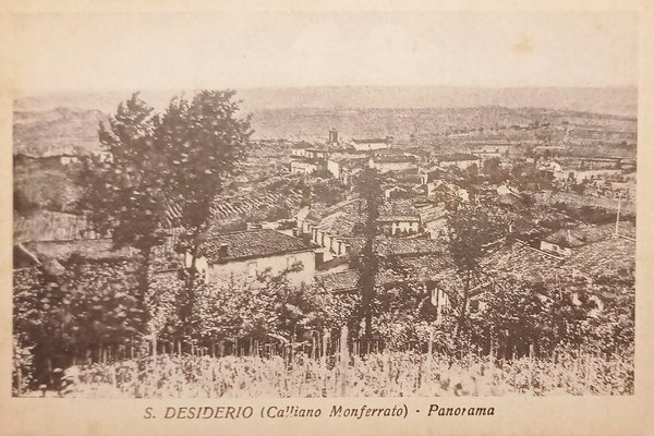 Cartolina - S. Desiderio ( Calliano Monferrato ) - Panorama …