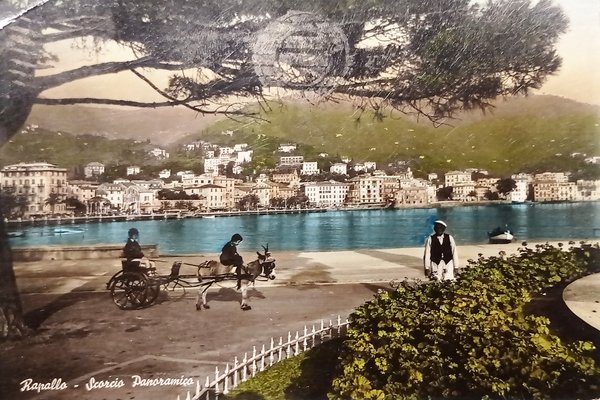 Cartolina - Rapallo - Scorcio Panoramico - 1956
