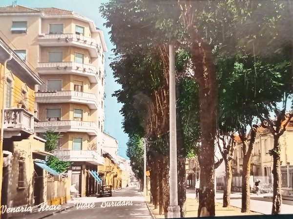 Cartolina - Venaria Reale - Viale Buridani - 1964