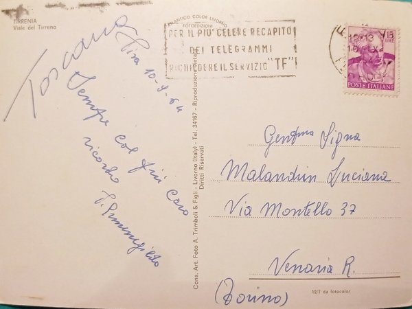 Cartolina - Tirrenia - Viale del Tirreno - 1964