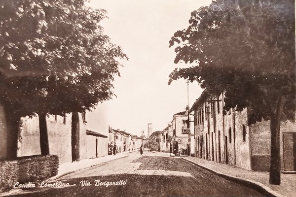 Cartolina - Candia Lomellina - Via Borgoratto - 1955