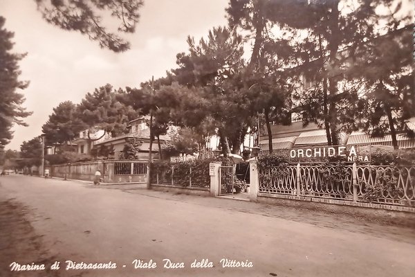 Cartolina - Marina di Pietrasanta - Viale Duca della Vittoria …