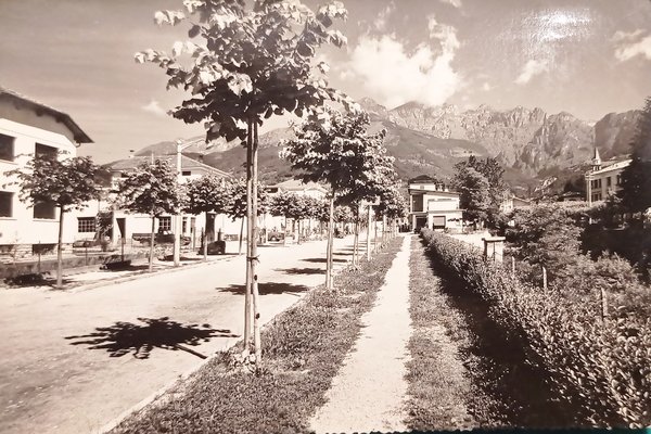 Cartolina - Pedavena - Viale Vittorio Veneto - 1960