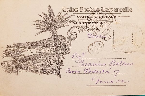 Cartolina - Portogallo - Madeira - 1902