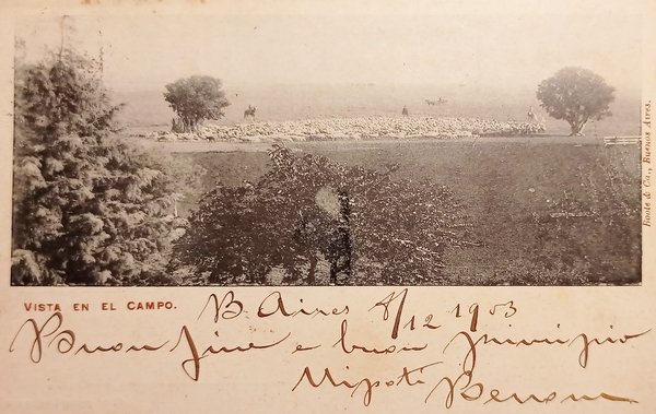 Cartolina - Argentina - Vista en el Campo - 1903