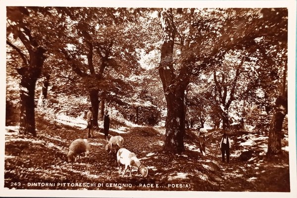 Cartolina - Dintorni Pittoreschi di Gemonio - Pace e Poesia …