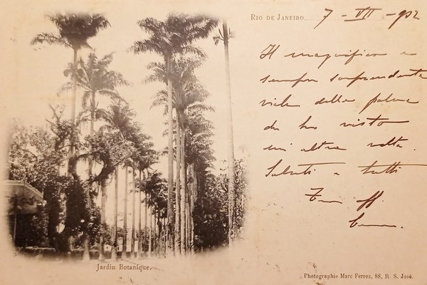 Cartolina - Brasile - Rio de Janeiro - Jardin Botanique …