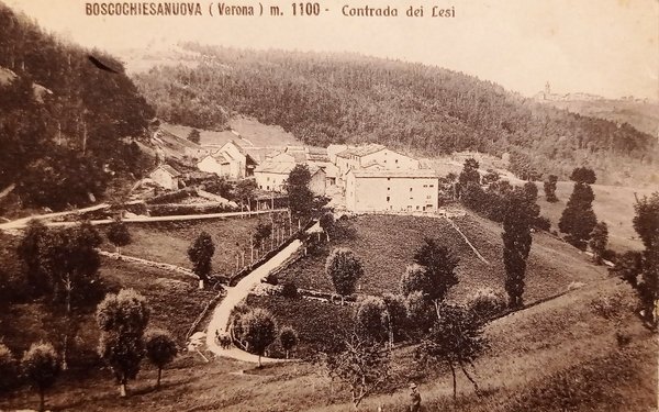 Cartolina - Bosco Chiesanuova ( Verona ) - Contrada dei …