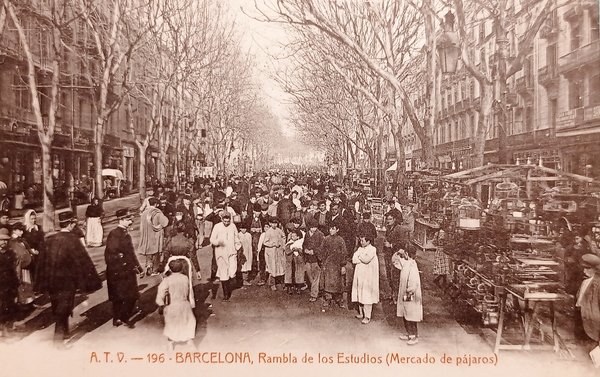 Cartolina - Barcelona - Rambla de los Estudios ( Mercato …