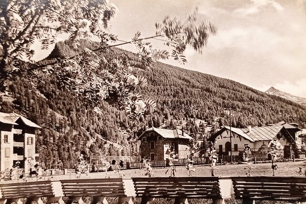 Cartolina - Pragelato-Ruà ( Torino ) - Circolo Villeggianti - …