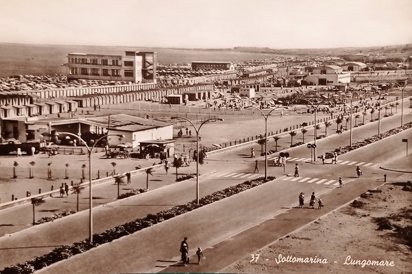 Cartolina - Sottomarina ( Venezia ) - Lungomare - 1961