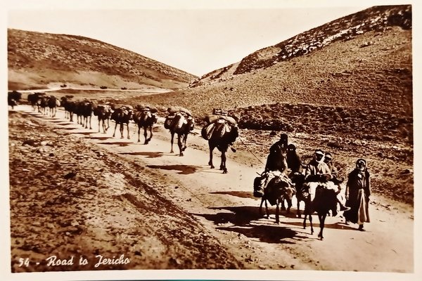 Cartolina - Palestina - Road to Gericho - 1940 ca.