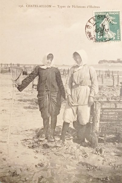 Cartolina - Francia - Chatelaillon - Types de Pecheuses d'Huitres …