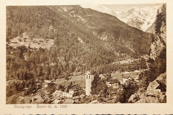 Cartolina - Macugnaga ( Verbano Cusio Ossola ) - Borca …