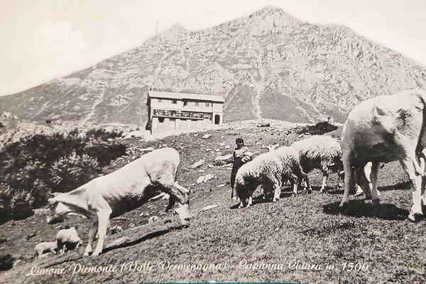 Cartolina - Limone Piemonte ( Valle Vermenagna ) - Capanna …
