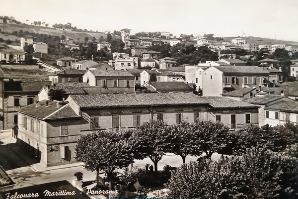 Cartolina - Falconara Marittima - Panorama - 1955