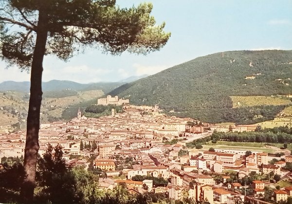 Cartolina - Spoleto ( Perugia ) - Panorama - 1960 …
