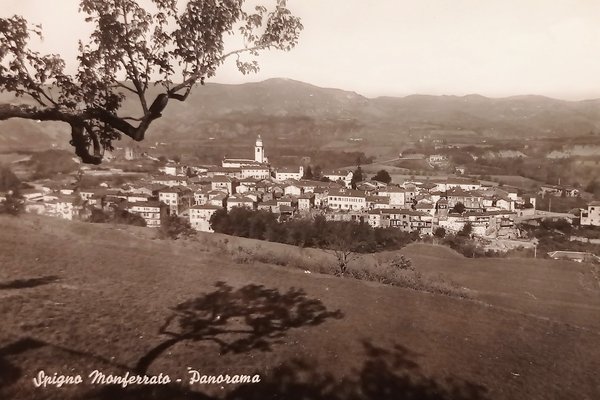 Cartolina - Spigno Monferrato - Panorama - 1960 ca.