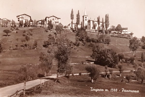 Cartolina - Torgnon ( Aosta ) - Panorama - 1963
