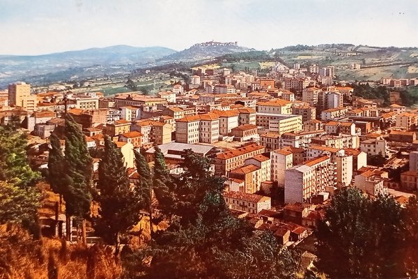 Cartolina - Campobasso - Panorama - 1965
