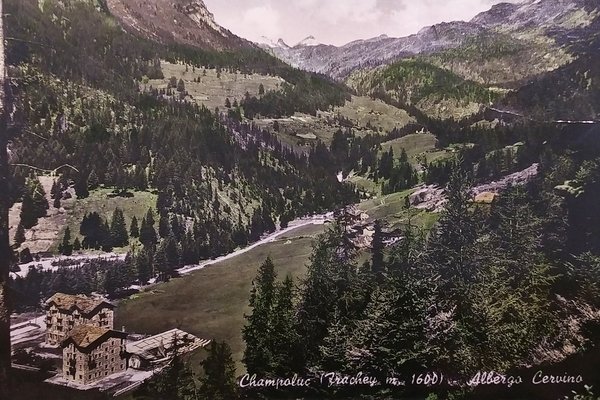 Cartolina - Champoluc ( Frazione Frachey ) - Albergo Cervino …