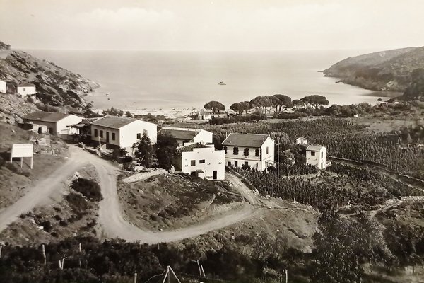 Cartolina - Marina di Campo - Isola d'Elba - Fetovaia …