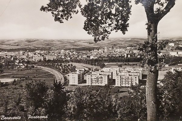 Cartolina - Benevento - Panorama - 1962
