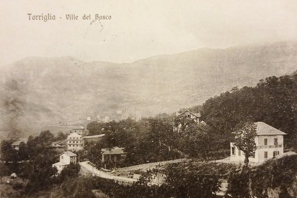 Cartolina - Torriglia - Ville del Bosco - 1921