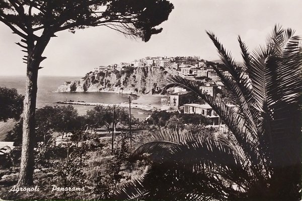 Cartolina - Agropoli ( Salerno ) - Panorama - 1961