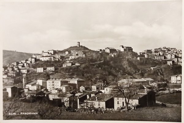 Cartolina - Acri ( Cozenza ) - Panorama - 1951