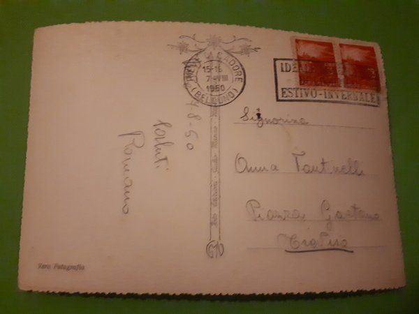 Cartolina - Pieve di Cadore - Nella sfondo Pozzale e …