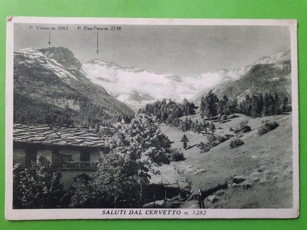 Cartolina - Saluti dal Cervetto - 1930 ca.