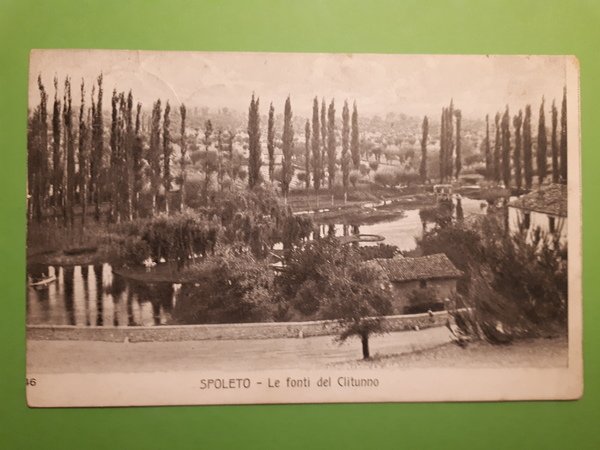 Cartolina - Spoleto - Le fonti del Clitunno - 1913