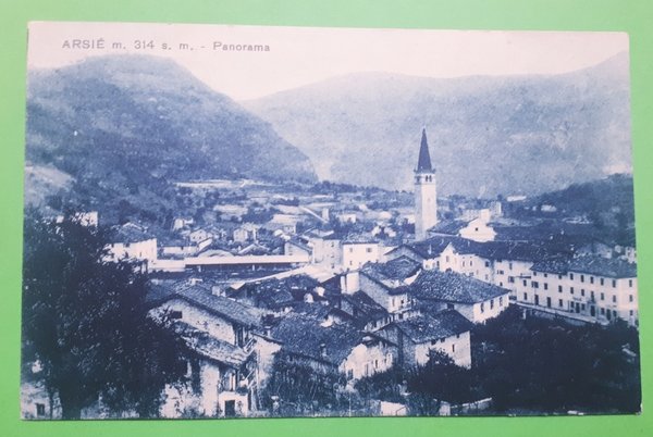 Cartolina - Arsiè - Belluno - Panorama - 1928