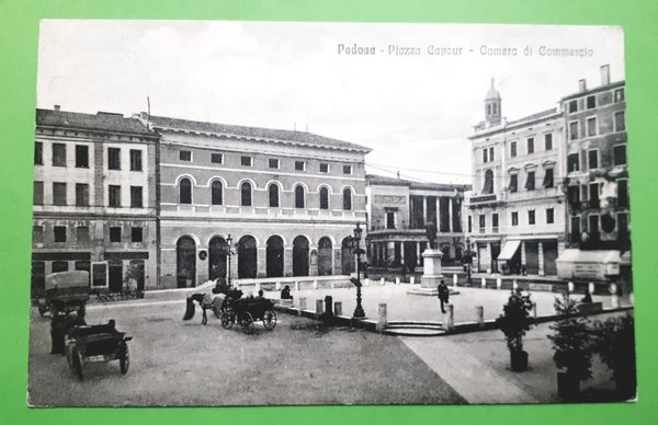 Cartolina - Padova - Piazza Cavour - Camera di Commercio …