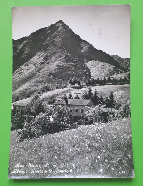 Cartolina - Alpe Noveis - Albergo Ristorante Nouveis - 1965