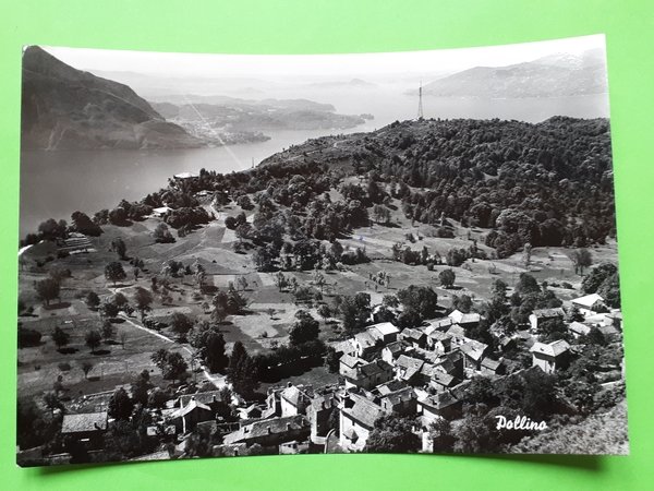 Cartolina - Pollino - 1980 ca.